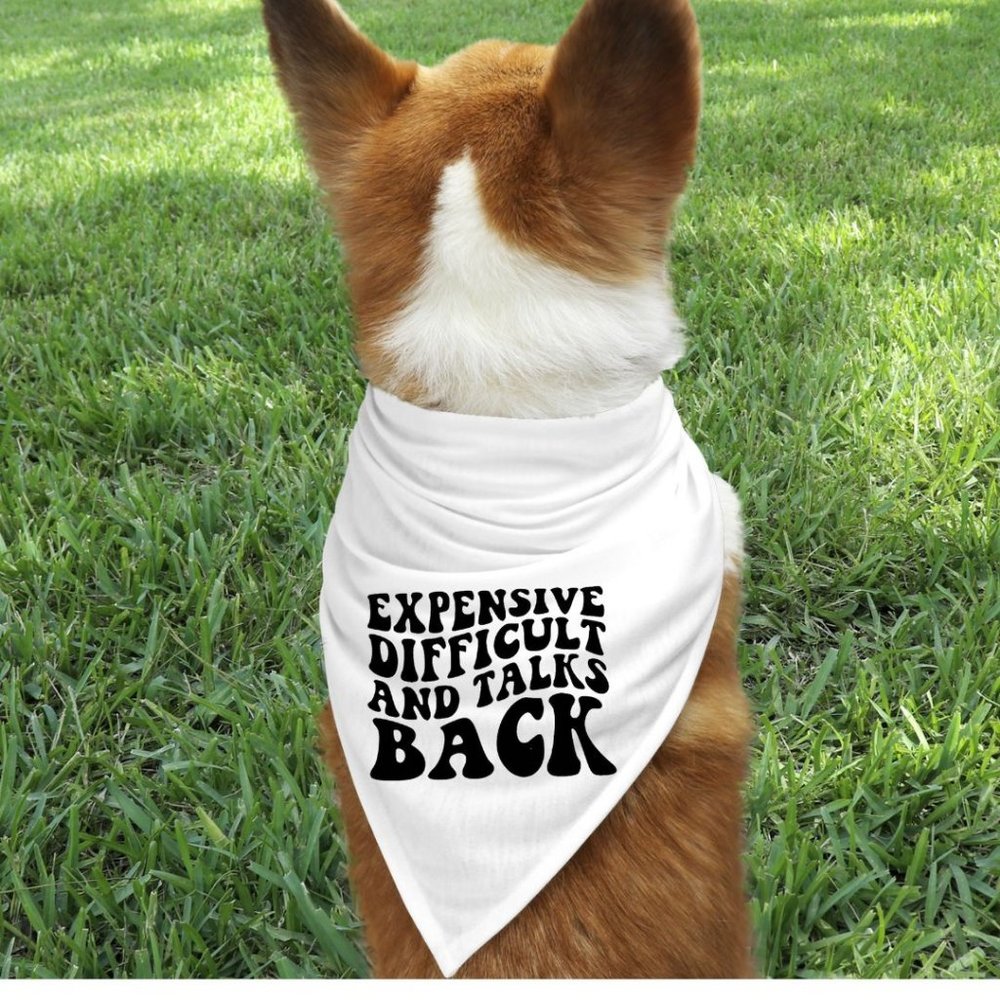 Expensive And Talks Back White Custom Handmade Pet Bandana